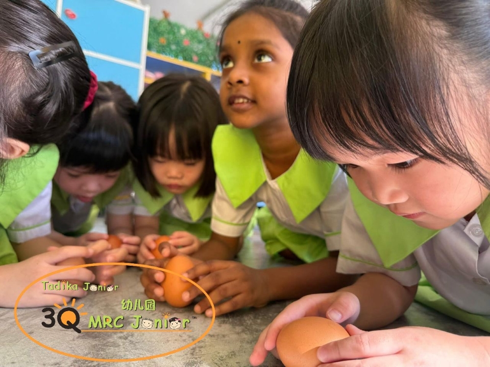 3Q MRC JUNIOR Sungai Dua, Penang — photo 6