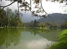 Taiping Lake Garden