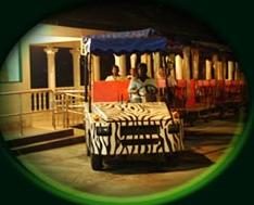 Taiping Zoo & Night Safari