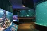 UMS Aquarium and Marine Musuem
