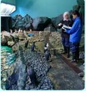 Underwater World Langkawi